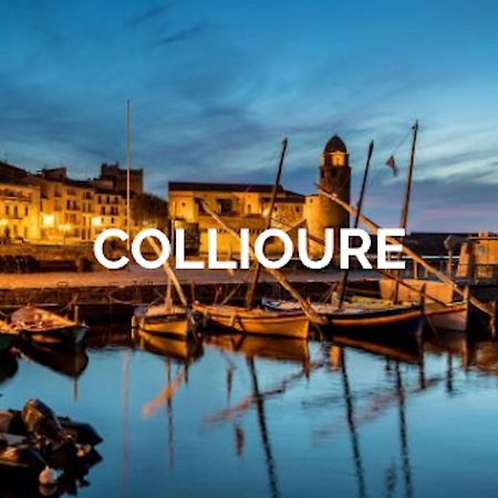페르피냥 Visite Languedoc Roussillon 아파트 외부 사진